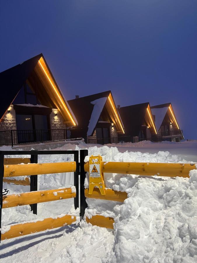 Wolforest Žabljak Kültér fotó
